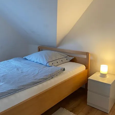 Lesny オストシツェ