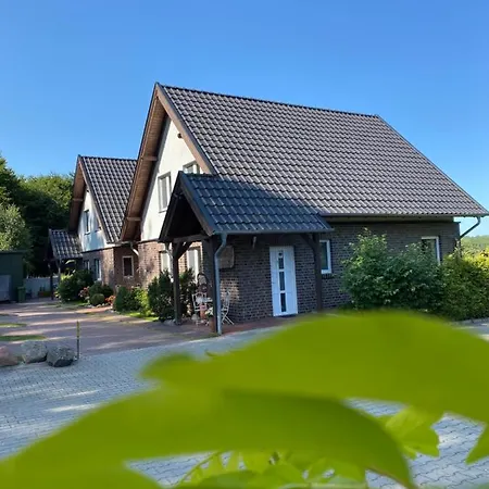 Apartament Lesny *