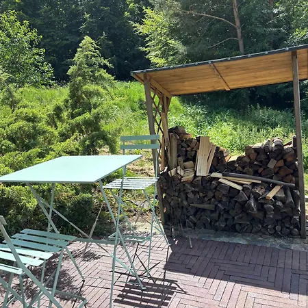 Las,jezioro,masaze,spa Daire Ostrzyce