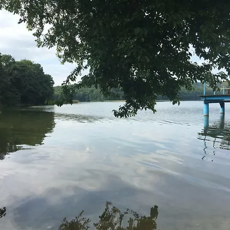 Las,jezioro,masaze,spa Ostrzyce