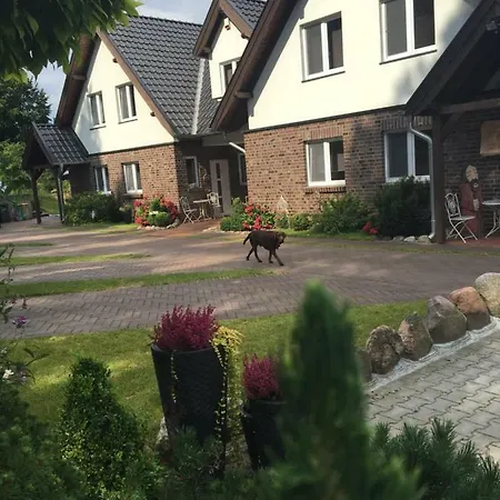 Daire Lesny Ostrzyce