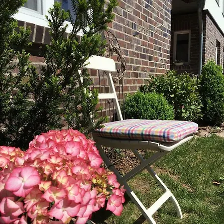 Leśne Apartamenty *